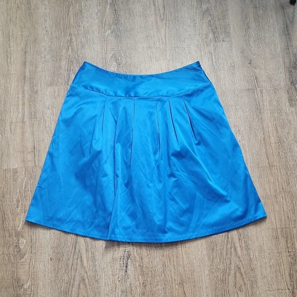 Chadwick's Cute Classy Pleated Skirt ~ Sz 10 ~ Blue ~ Lined ~ Above Knee - Picture 1 of 3